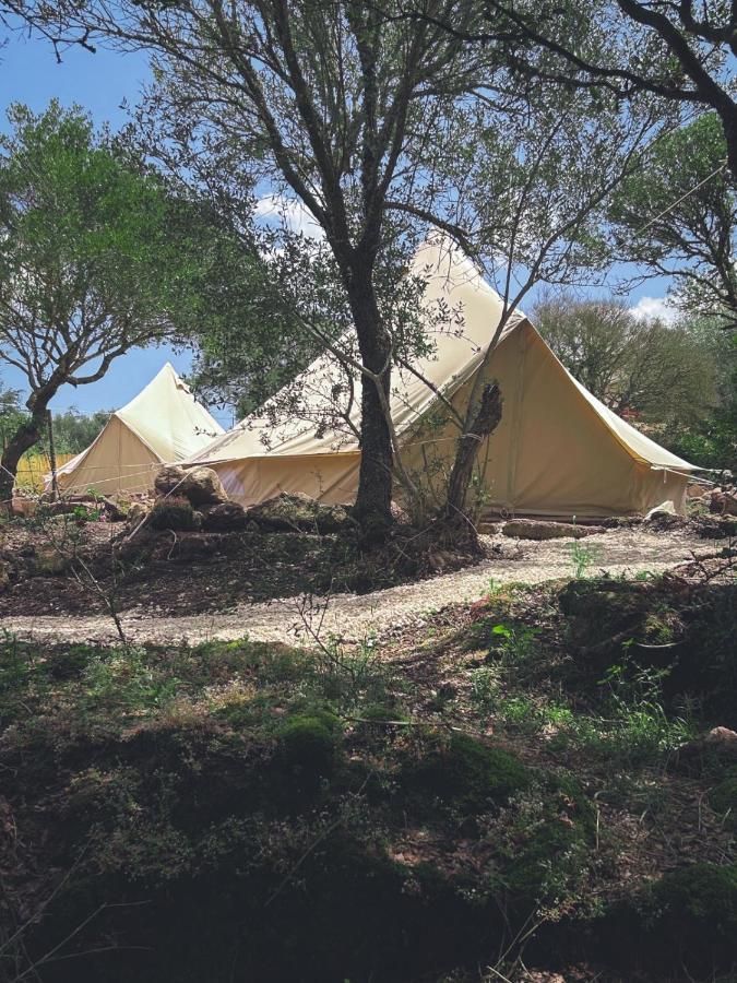 מלון Perfugas Pasare Glamping_Anglonaruralexperience מראה חיצוני תמונה