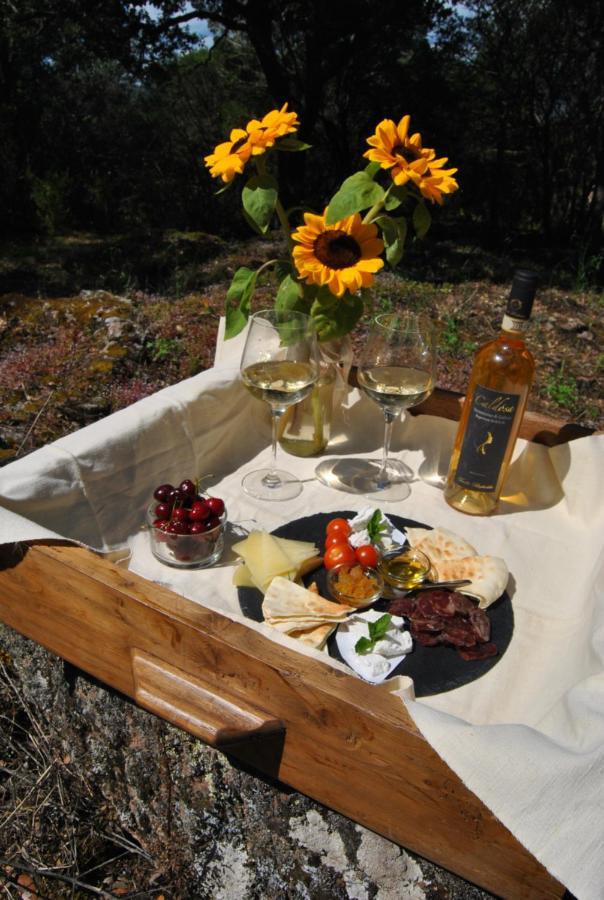 מלון Perfugas Pasare Glamping_Anglonaruralexperience מראה חיצוני תמונה