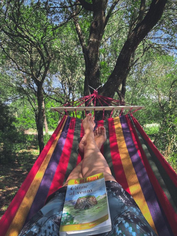 מלון Perfugas Pasare Glamping_Anglonaruralexperience מראה חיצוני תמונה