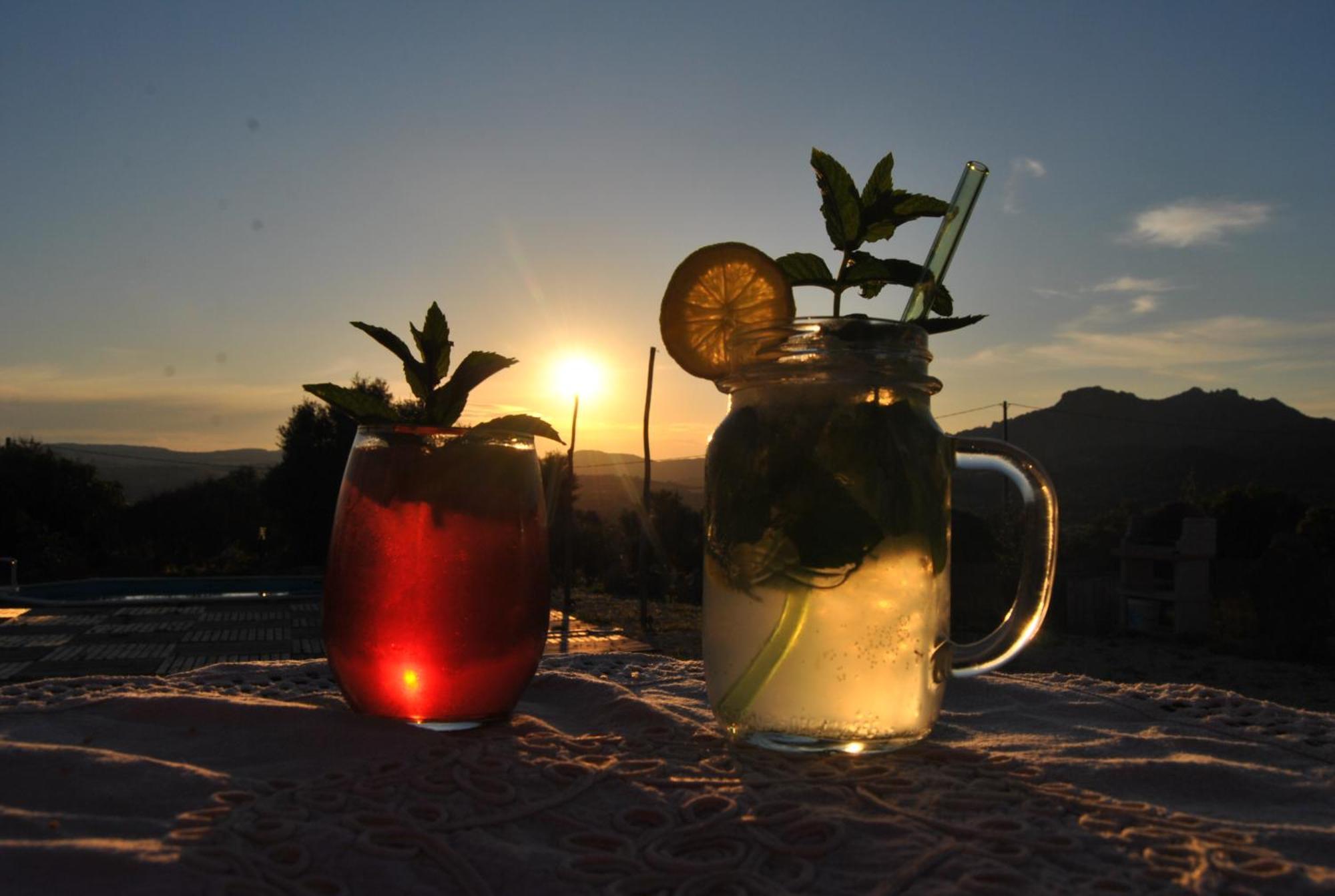 מלון Perfugas Pasare Glamping_Anglonaruralexperience מראה חיצוני תמונה